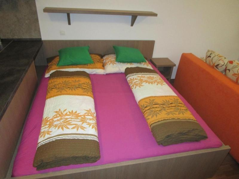 Apartman Ricky V Orlickych Horach Pustiny Exterior photo
